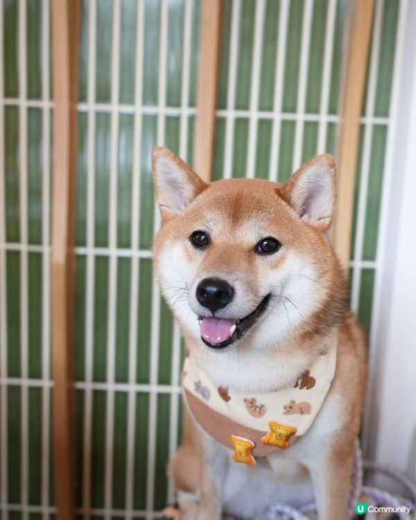 悠閒的法式午餐🫒