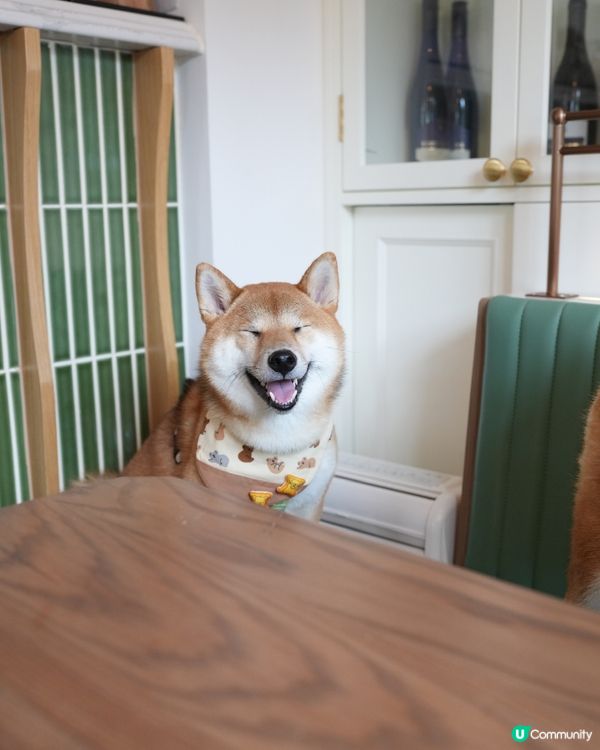 悠閒的法式午餐🫒