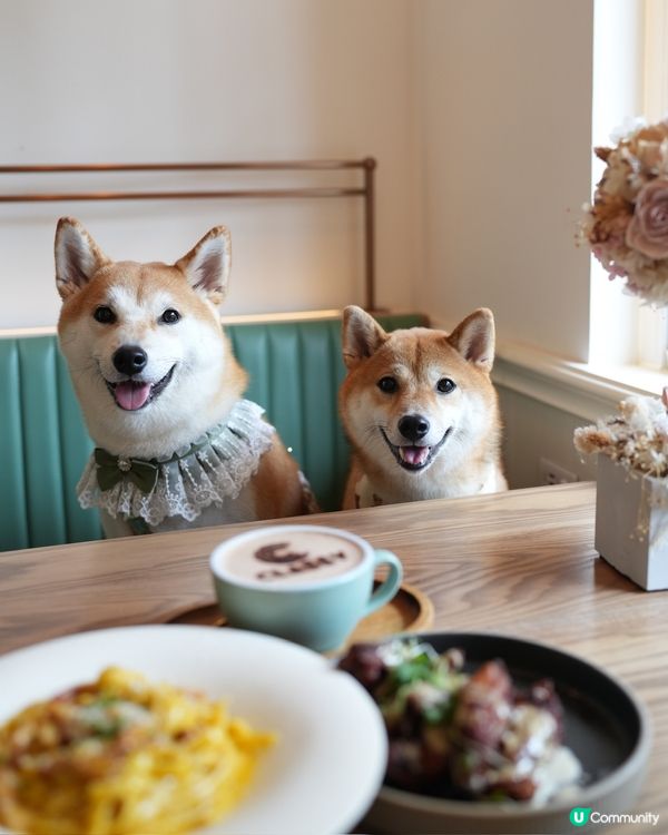 悠閒的法式午餐🫒