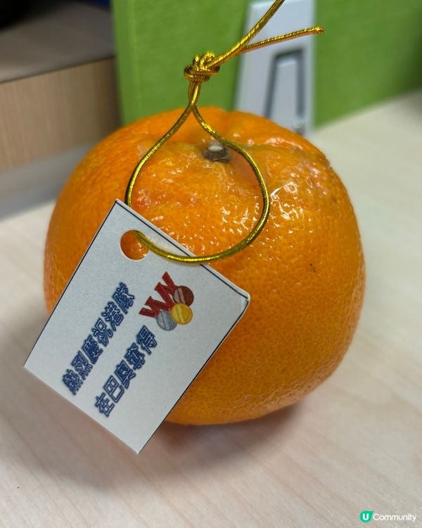 熱烈慶祝港隊在巴奧勇奪金牌🎖️