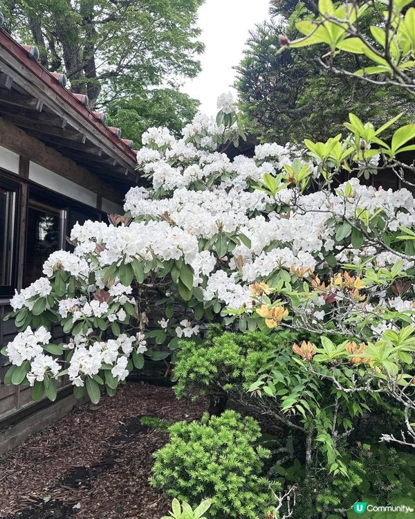穿越日本古代的忍野八海