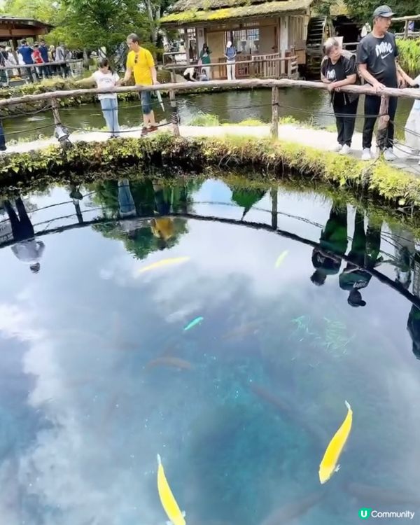 穿越日本古代的忍野八海