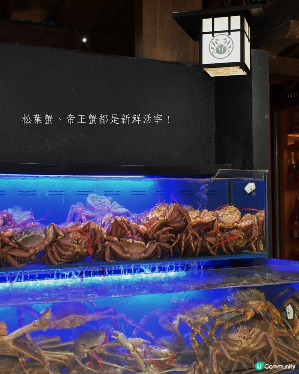 平民價食高質廚師發辦😳🇯🇵日本新鮮帝王蟹🦀CP值爆燈💥