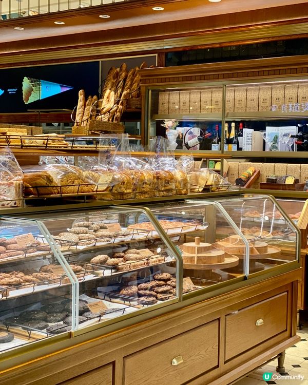 ✨深圳🇨🇳-💬⚠️麵包腦袋要啟動💢‼️