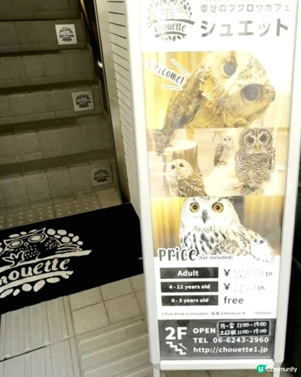 大阪貓頭鷹 Café 🦉 Owl Café 🦉
