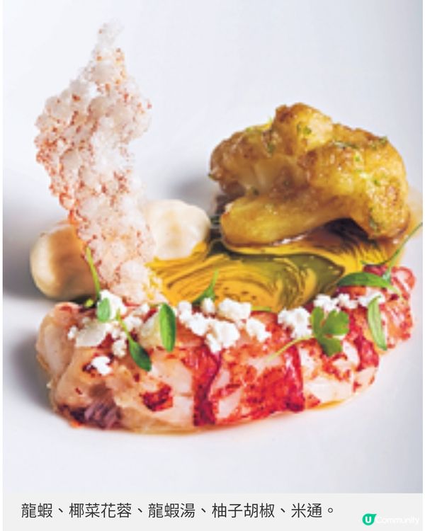 意國風味西西里傳統菜餚 龍蝦配 椰菜花蓉 綿彈辛香