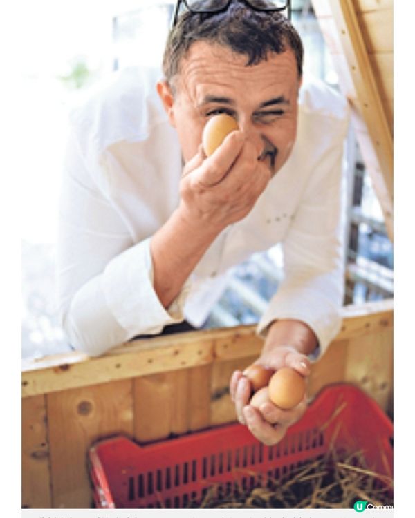 意國風味西西里傳統菜餚 龍蝦配 椰菜花蓉 綿彈辛香