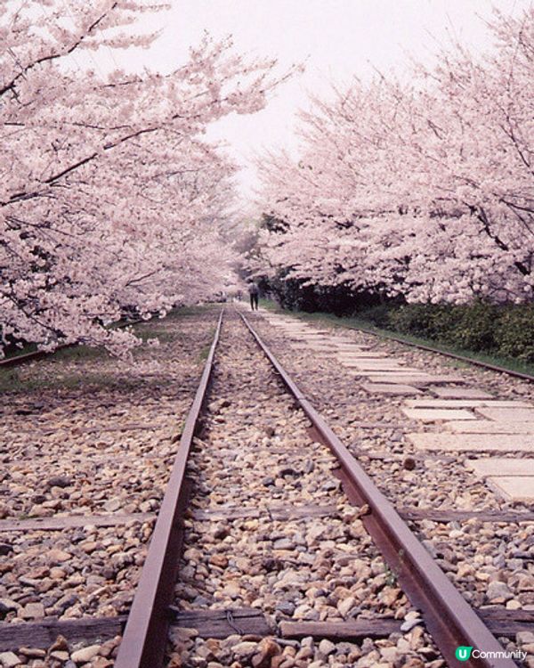 🇯🇵京都南禪寺 蹴上鐵道🛤️