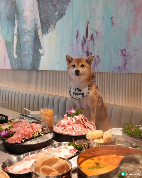 超好食嘅泰式火鍋🍲💜