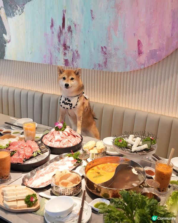 超好食嘅泰式火鍋🍲💜