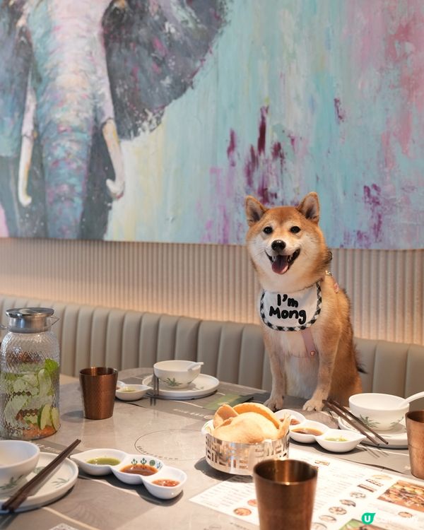 超好食嘅泰式火鍋🍲💜