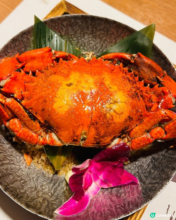 食蟹天堂🦀  銅鑼灣必食！