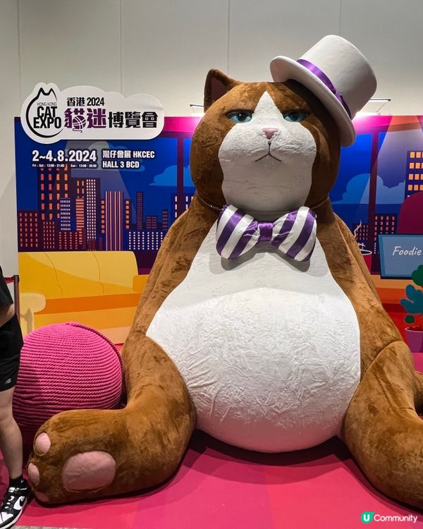 香港貓迷博覽會