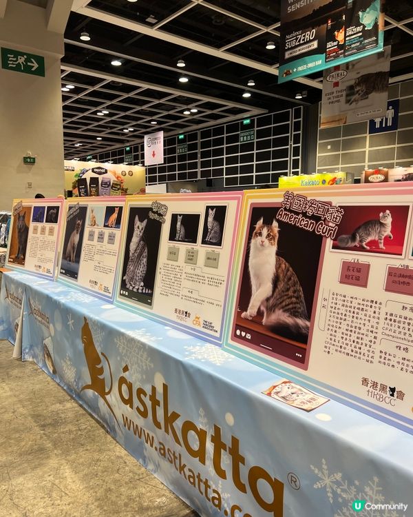 香港貓迷博覽會