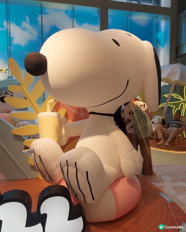 Snoopy and Peanuts Friends