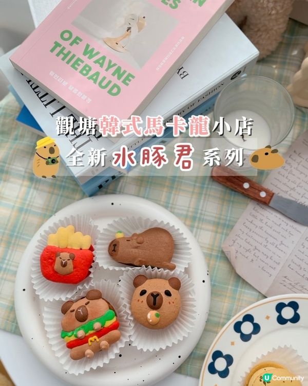 可愛到尖叫「水豚君」馬卡龍🦫