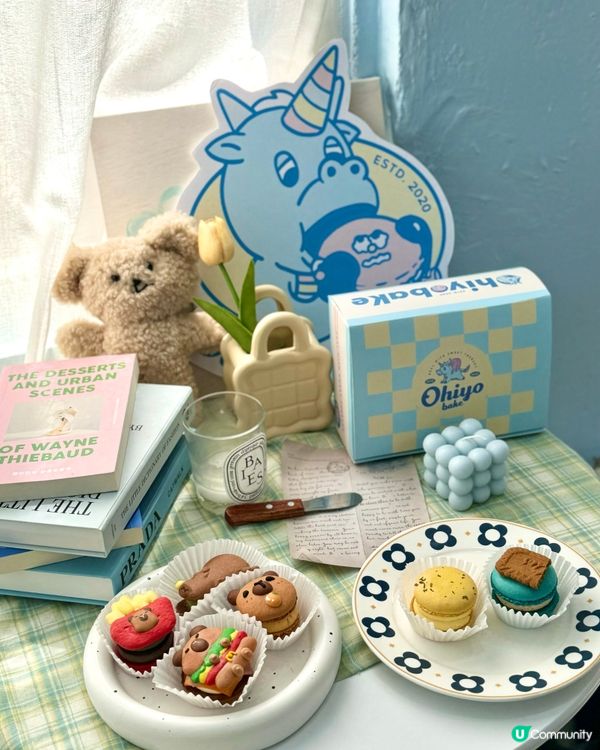 可愛到尖叫「水豚君」馬卡龍🦫