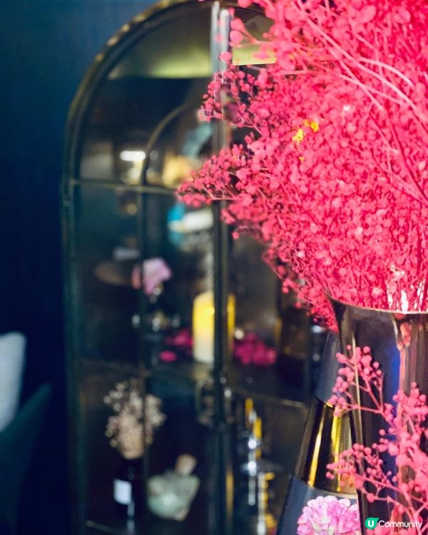 舒適度極高既揼骨好去處❤️💕