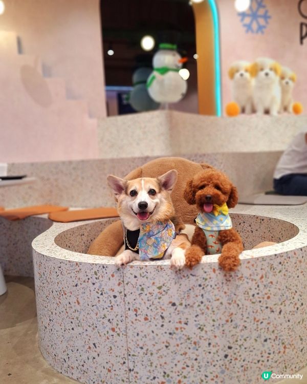 阿爾卑斯三大名峰⛰️