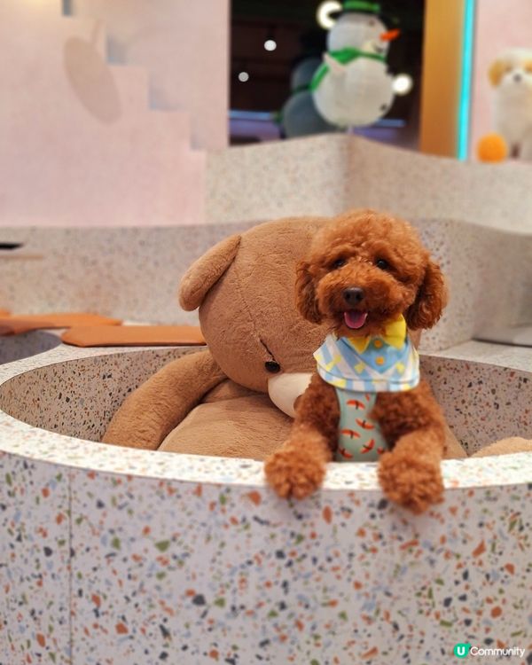 阿爾卑斯三大名峰⛰️