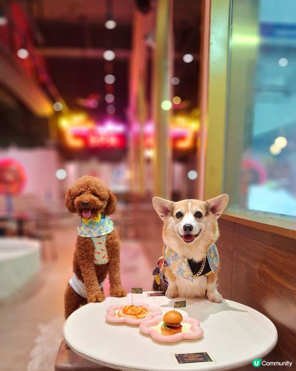 阿爾卑斯三大名峰⛰️