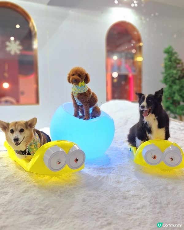 阿爾卑斯三大名峰⛰️