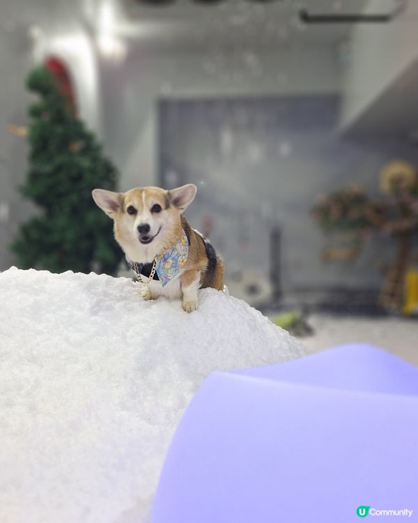 阿爾卑斯三大名峰⛰️