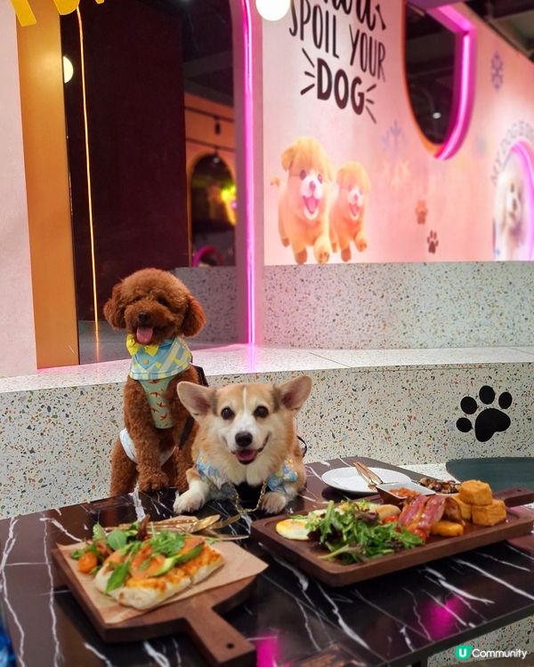 阿爾卑斯三大名峰⛰️