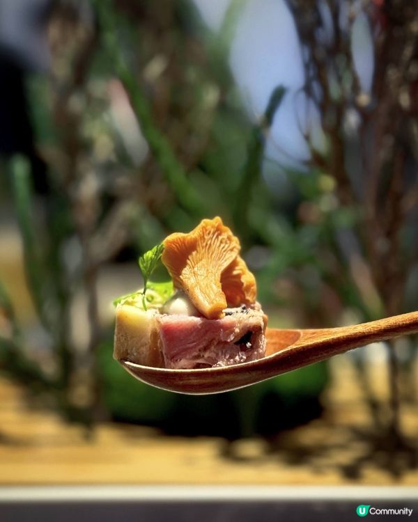 沉醉午後香氣@FINDS