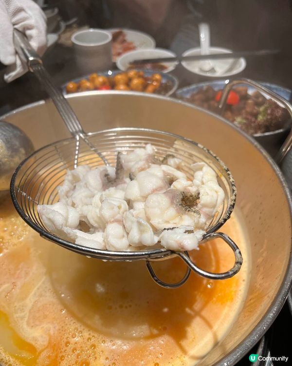 深圳南山🔥火璽堯·龍蝦花膠雞湯鍋