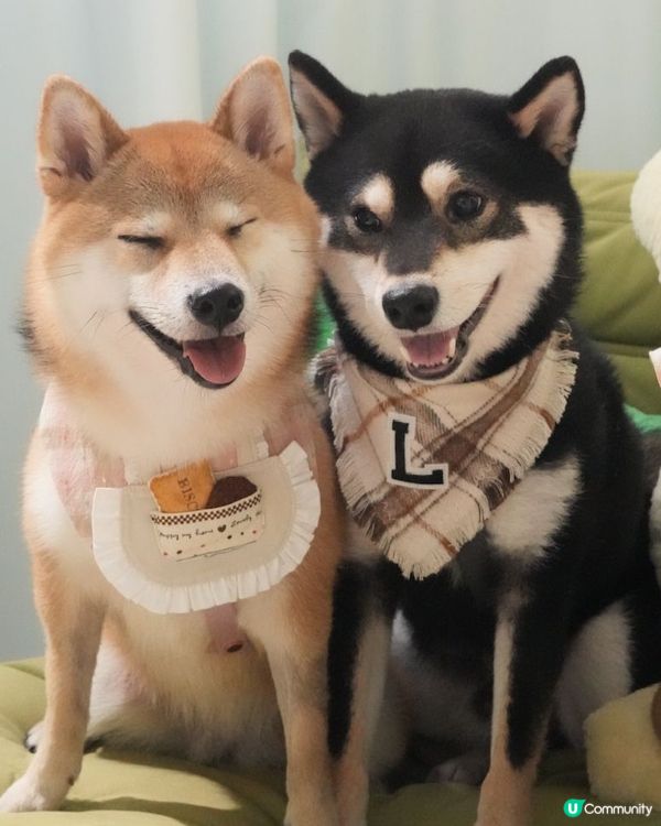 趣怪搞笑嘅表情🤣