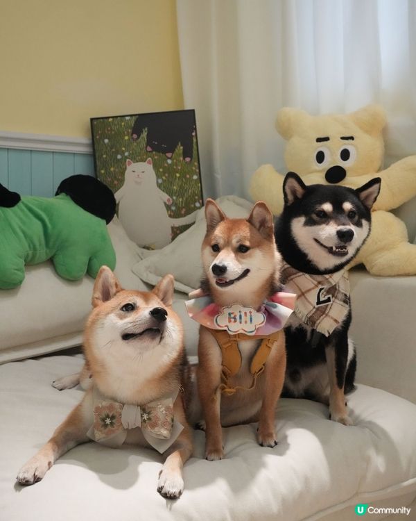 趣怪搞笑嘅表情🤣