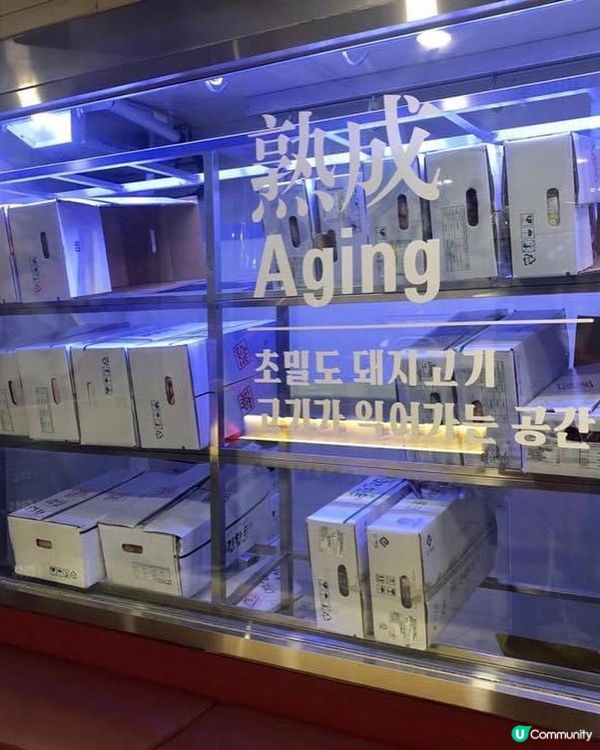 韓國豬肉美食 🐷 六始里韓豚燒肉 🔥