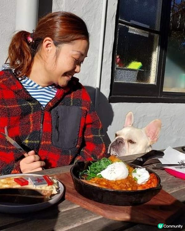 [西澳☕] 🌳叢林天堂咖啡店Goanna BushCafe