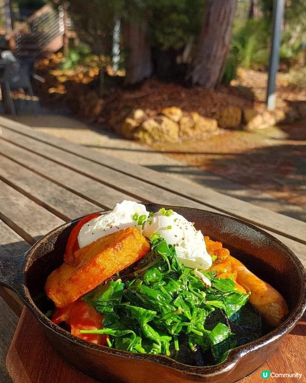 [西澳☕] 🌳叢林天堂咖啡店Goanna BushCafe