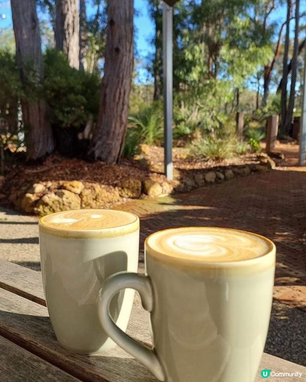 [西澳☕] 🌳叢林天堂咖啡店Goanna BushCafe