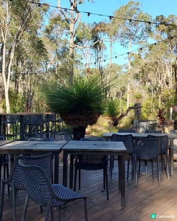 [西澳☕] 🌳叢林天堂咖啡店Goanna BushCafe