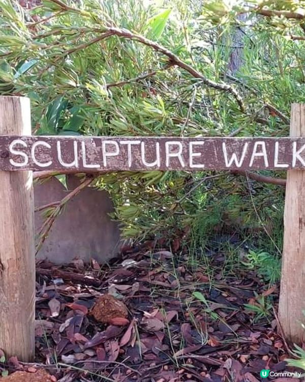 [西澳☕] 🌳叢林天堂咖啡店Goanna BushCafe