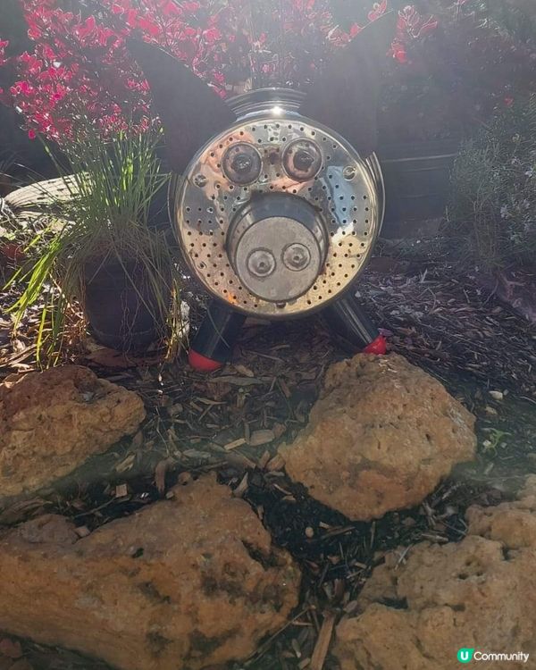 [西澳☕] 🌳叢林天堂咖啡店Goanna BushCafe