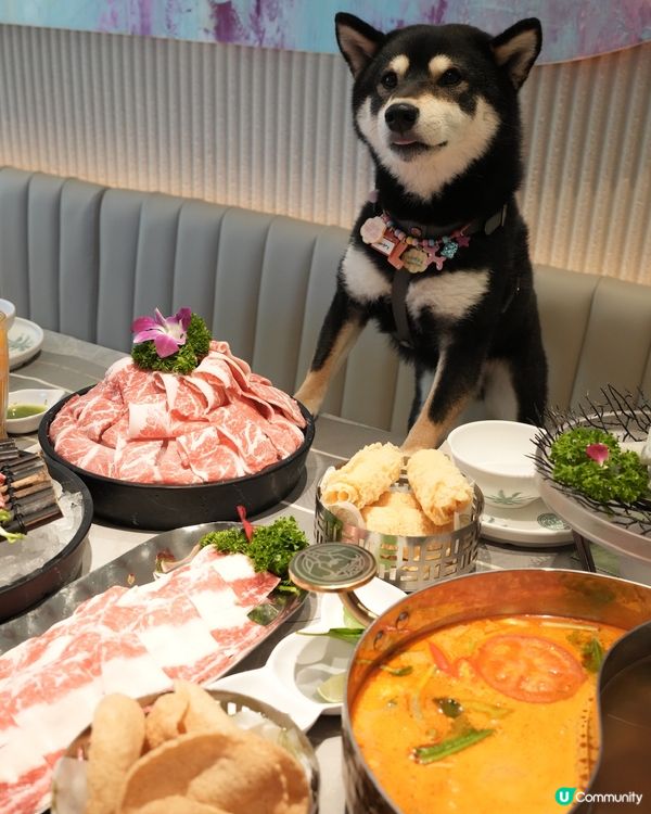 🇹🇭🍲可以再Encore嘅泰式火鍋‼️
