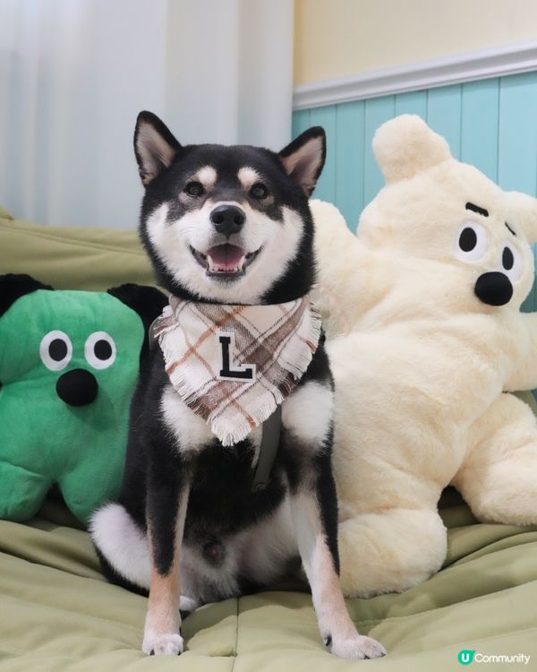 🧟‍♂️肉肉怪獸出沒⁉️