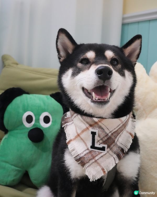 🧟‍♂️肉肉怪獸出沒⁉️