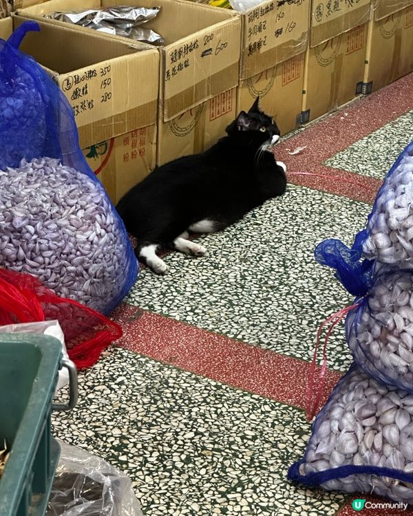 永樂布市，應有盡有！🧵🛍️