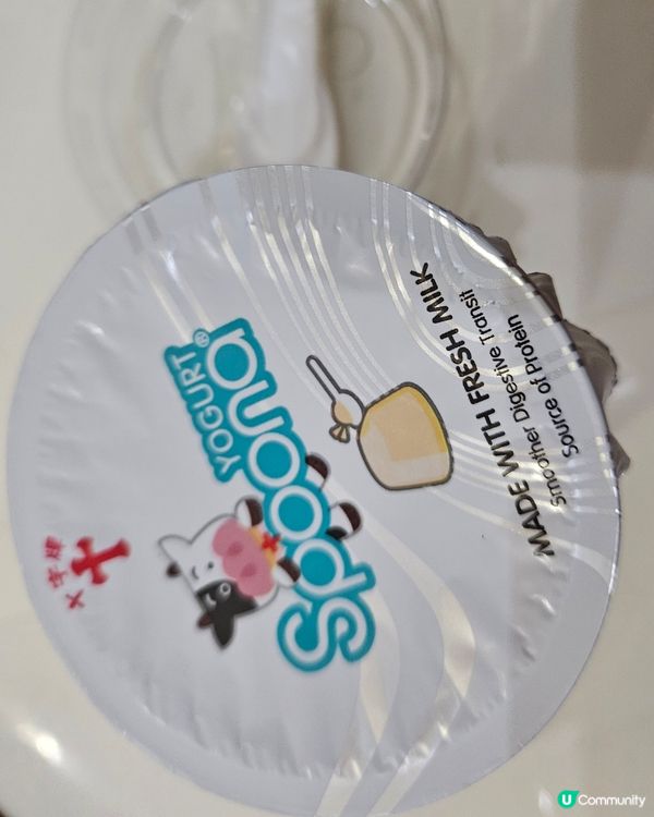 Yogurt