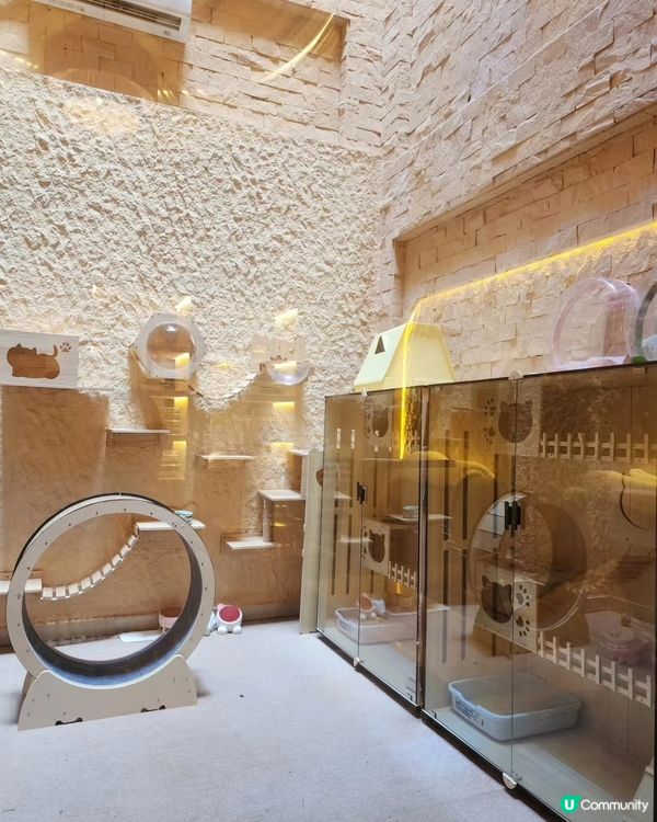 深圳熱沙浴Spa初體驗