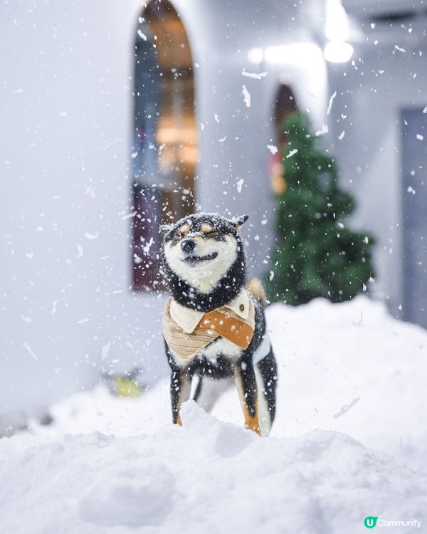咩話咩話⁉️香港落雪⁉️