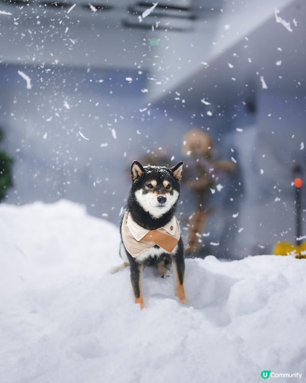 咩話咩話⁉️香港落雪⁉️