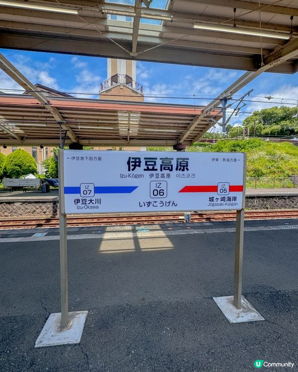 【伊豆高原必去景點、近距離接觸動物】