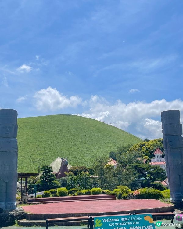 【伊豆高原必去景點、近距離接觸動物】