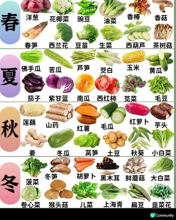 🥬🍅🥦應季蔬菜時間表🌽🫒🌶️